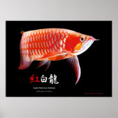 Asiatische Arowana (Roter Typ) Poster (Vorne)