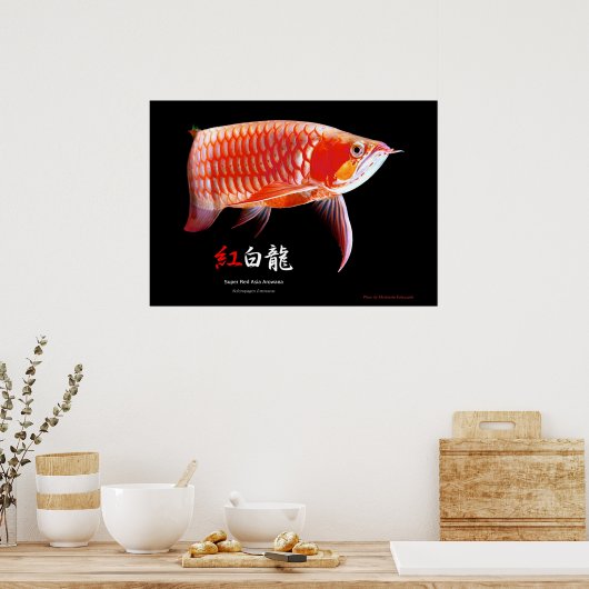 Asiatische Arowana (Roter Typ) Poster (Küche)
