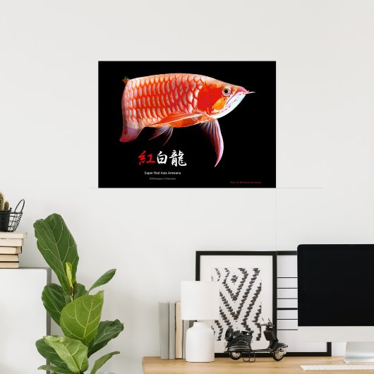 Asiatische Arowana (Roter Typ) Poster (Heimbüro)