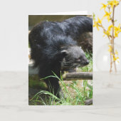 Asiatische Bearcat-Gruß-Karte Karte (Gelbe Blume)