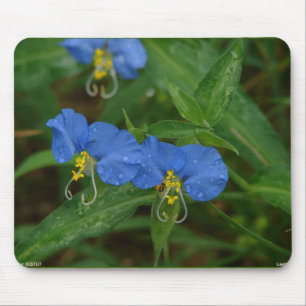 Asiatische Dayflower Blue Wildblume Apparel & Gift Mousepad