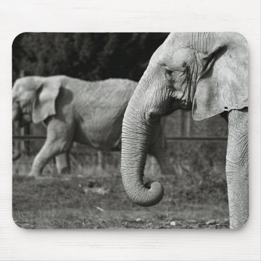 Asiatische Elefant-Mausunterlage Mousepad (Vorne)