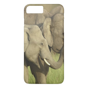 Asiatische Elefanten Case-Mate iPhone Hülle
