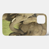Asiatische Elefanten Case-Mate iPhone Hülle (Rückseite (Horizontal))