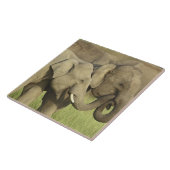 Asiatische Elefanten Fliese (Seite)