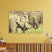 Asiatische Elefanten Leinwanddruck (Insitu (Wohnzimmer))