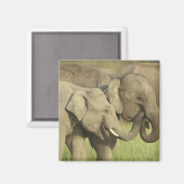 Asiatische Elefanten Magnet (Vorderseite/Rückseite)