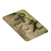 Asiatische Elefanten Magnet (Rechte Seite)