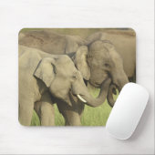 Asiatische Elefanten Mousepad (Mit Mouse)