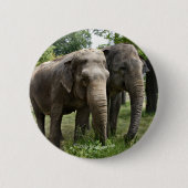 Asiatische Elefanten nebeneinander Button (Vorderseite)