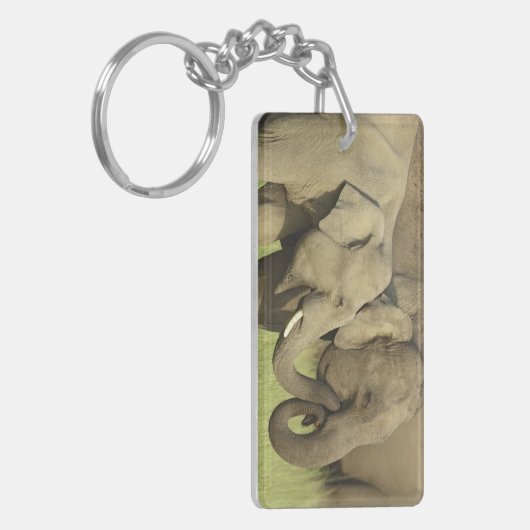 Asiatische Elefanten Schlüsselanhänger (Vorderseite links)