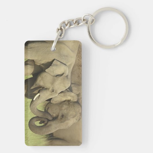 Asiatische Elefanten Schlüsselanhänger (Rückseite)