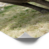 Asiatische Elefanten Seite an Seite Poster (Ecke)