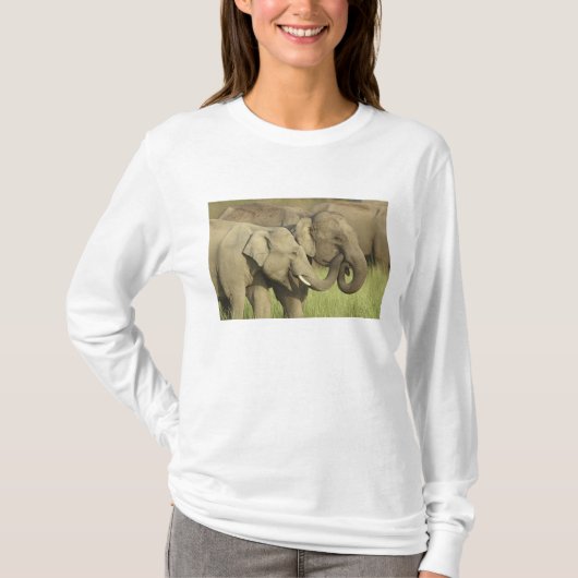Asiatische Elefanten T-Shirt (Vorderseite)