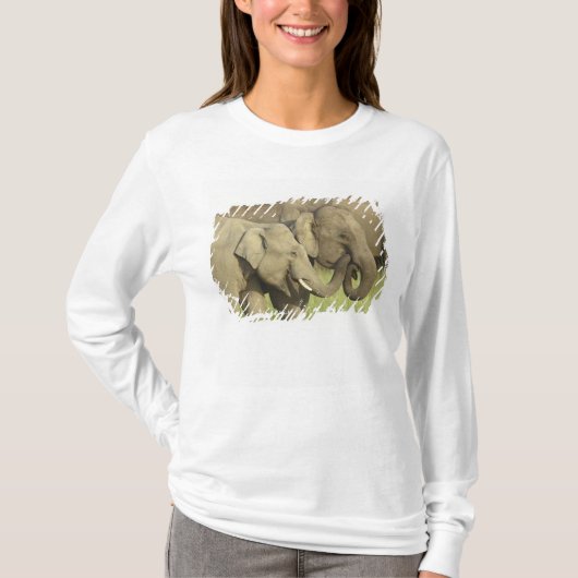 Asiatische Elefanten T-Shirt (Vorderseite)