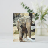 Asiatische Elefantenfotografie Postkarte (Stehend Vorderseite)