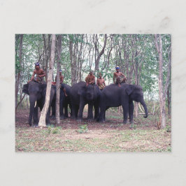 Asiatische Elefantenpostkarte Postkarte