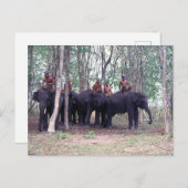Asiatische Elefantenpostkarte Postkarte (Vorne/Hinten)