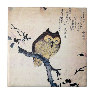 Asiatische Eule Fliese