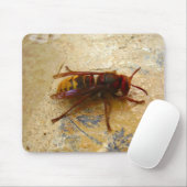Asiatische Hornet-Maus-Mat Mousepad (Mit Mouse)