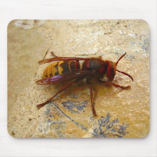 Asiatische Hornet-Maus-Mat Mousepad (Vorne)