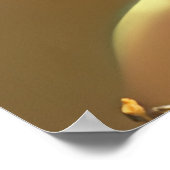 Asiatische Indianerin, farbenfroh rotes goldenes P Poster (Ecke)