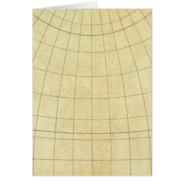 Asiatische Kontur (Vorne)