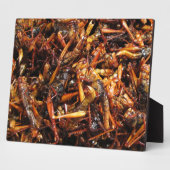 Asiatische Küche mit frittiertem Grasshopper (Takk Fotoplatte (Seite)