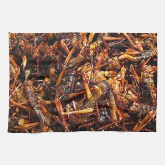 Asiatische Küche mit frittiertem Grasshopper (Takk Handtuch (Horizontal)