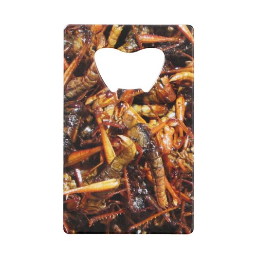 Asiatische Küche mit frittiertem Grasshopper (Takk Kreditkartenflaschenöffner (Vorderseite)
