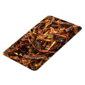 Asiatische Küche mit frittiertem Grasshopper (Takk Magnet (Linke Seite)