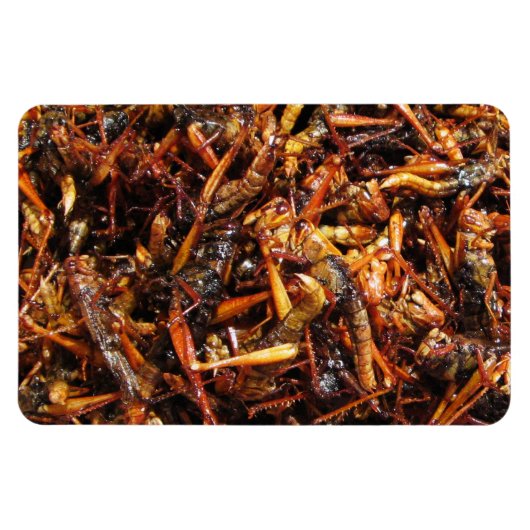 Asiatische Küche mit frittiertem Grasshopper (Takk Magnet (Horizontal)