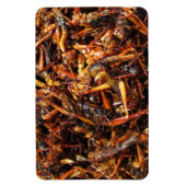 Asiatische Küche mit frittiertem Grasshopper (Takk Magnet (Vertikal)