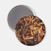 Asiatische Küche mit frittiertem Grasshopper (Takk Magnet (Vorderseite/Rückseite)