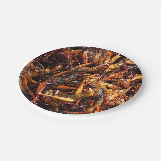 Asiatische Küche mit frittiertem Grasshopper (Takk Pappteller (Schrägansicht)