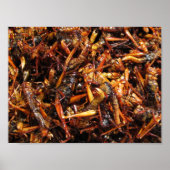 Asiatische Küche mit frittiertem Grasshopper (Takk Poster (Vorne)