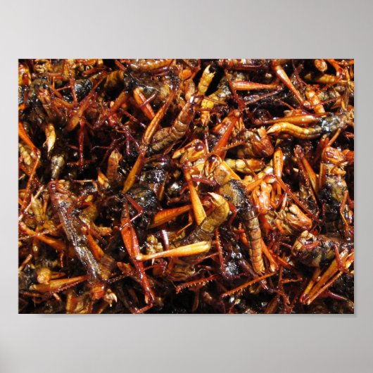 Asiatische Küche mit frittiertem Grasshopper (Takk Poster (Vorne)