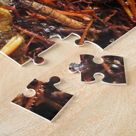 Asiatische Küche mit frittiertem Grasshopper (Takk Puzzle (Seite)