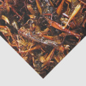 Asiatische Küche mit frittiertem Grasshopper (Takk Seidenpapier (Ausschnitt)