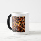 Asiatische Küche mit frittiertem Grasshopper (Takk Verwandlungstasse (Vorderseite Links)