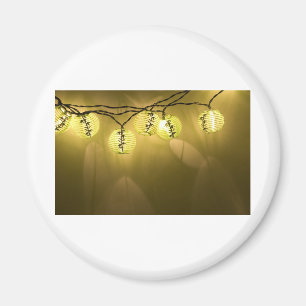 Asiatische Lanterns060709 Magnet