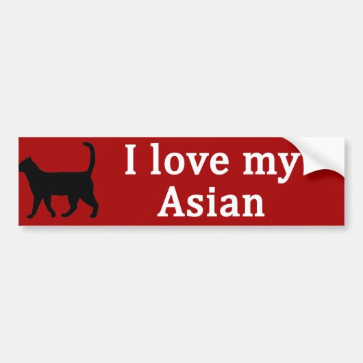 Asiatische Liebe Autoaufkleber (Vorne)