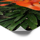 Asiatische Lilien Desiderata Poster (Ecke)