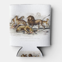 Asiatische Löwe, Löwe, Bengalischer Tiger, Leopard