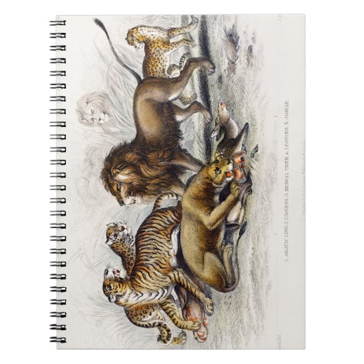 Asiatische Löwe, Löwe, Bengalischer Tiger, Leopard Notizblock (Vorderseite)