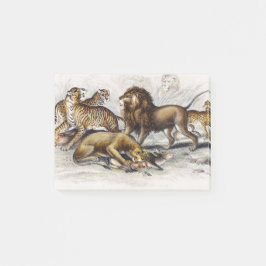 Asiatische Löwe, Löwe, Bengalischer Tiger, Leopard Post-it Klebezettel