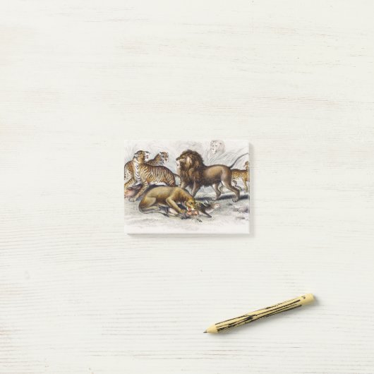 Asiatische Löwe, Löwe, Bengalischer Tiger, Leopard Post-it Klebezettel (Auf Schreibtisch)