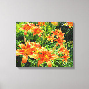 ASIATISCHE ORANGE LILY CANVAS DRUCKEN LEINWANDDRUCK