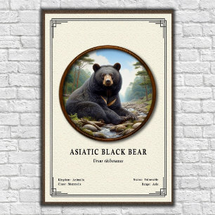 Asiatische Schwarzbären-Zoologie-Serie Poster