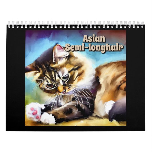 Asiatische Semi-Langghair Kalender (Titelbild)